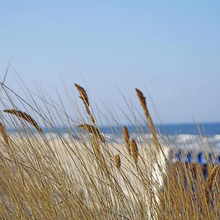 아파트 Remise Im Kaisers Vis _ Vis *