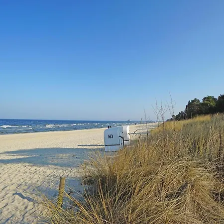 Remise Im Kaisers Vis _ Vis Heringsdorf (Usedom)
