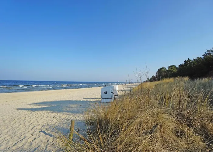 Remise Im Kaisers Vis _ Vis Heringsdorf (Usedom)